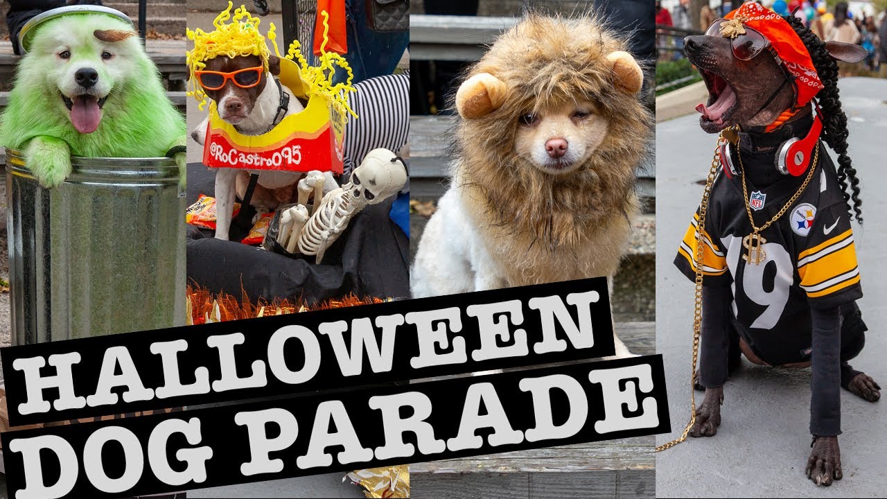 Halloween Dog Parade NYC & Dog-Friendly Spots
