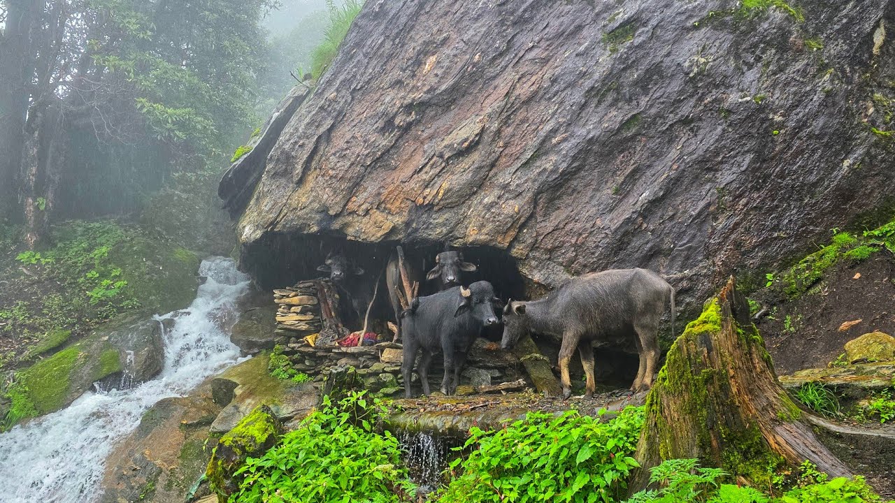 Real Nepali Mountain Village Life During the Rain | Most Peaceful And Relaxing Village Life |
