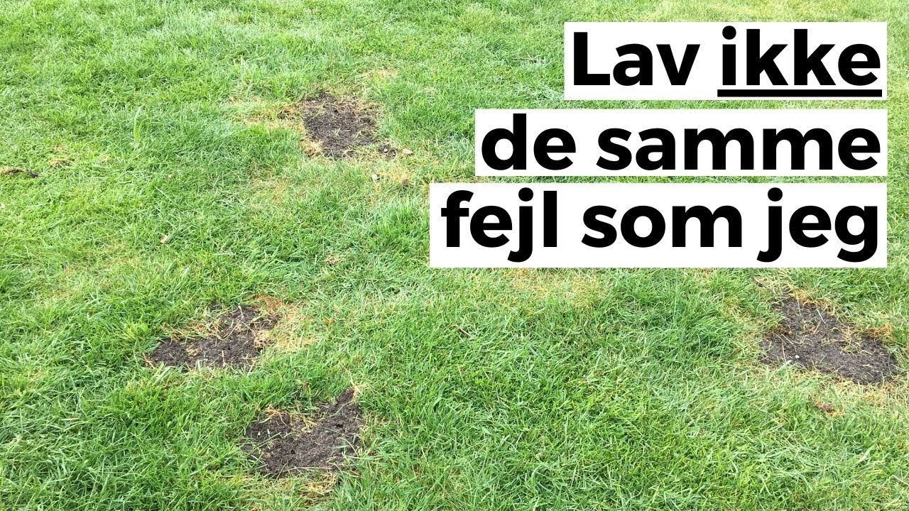 G&oslash;dning og kalkning af gr&aelig;spl&aelig;ne - L&aelig;r af mine fejl