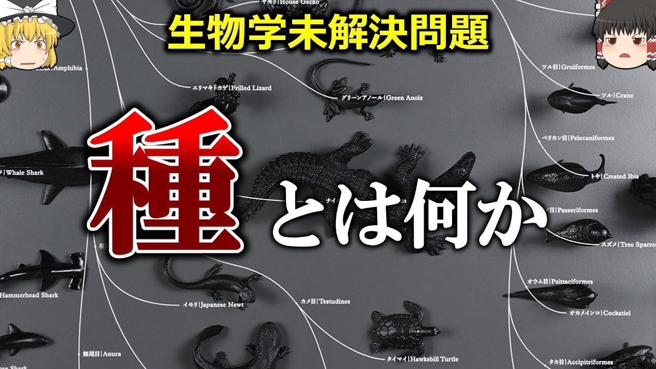 【種の壁の正体】人はどの動物とまでなら子作りできる？【ゆっくり解説】【雑学】