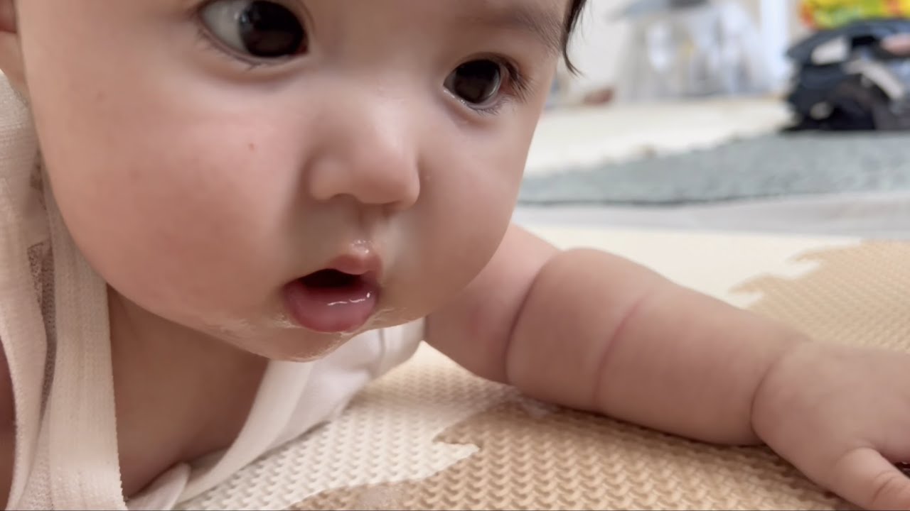 テリトリー（リビング）への新入りは安全な物か確認しないと気が済まない赤ちゃん/Check if it's safe