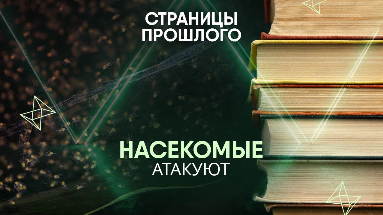 Насекомые атакуют: как в лучших лабораториях выводили оружие, которое повлияло на ход истории