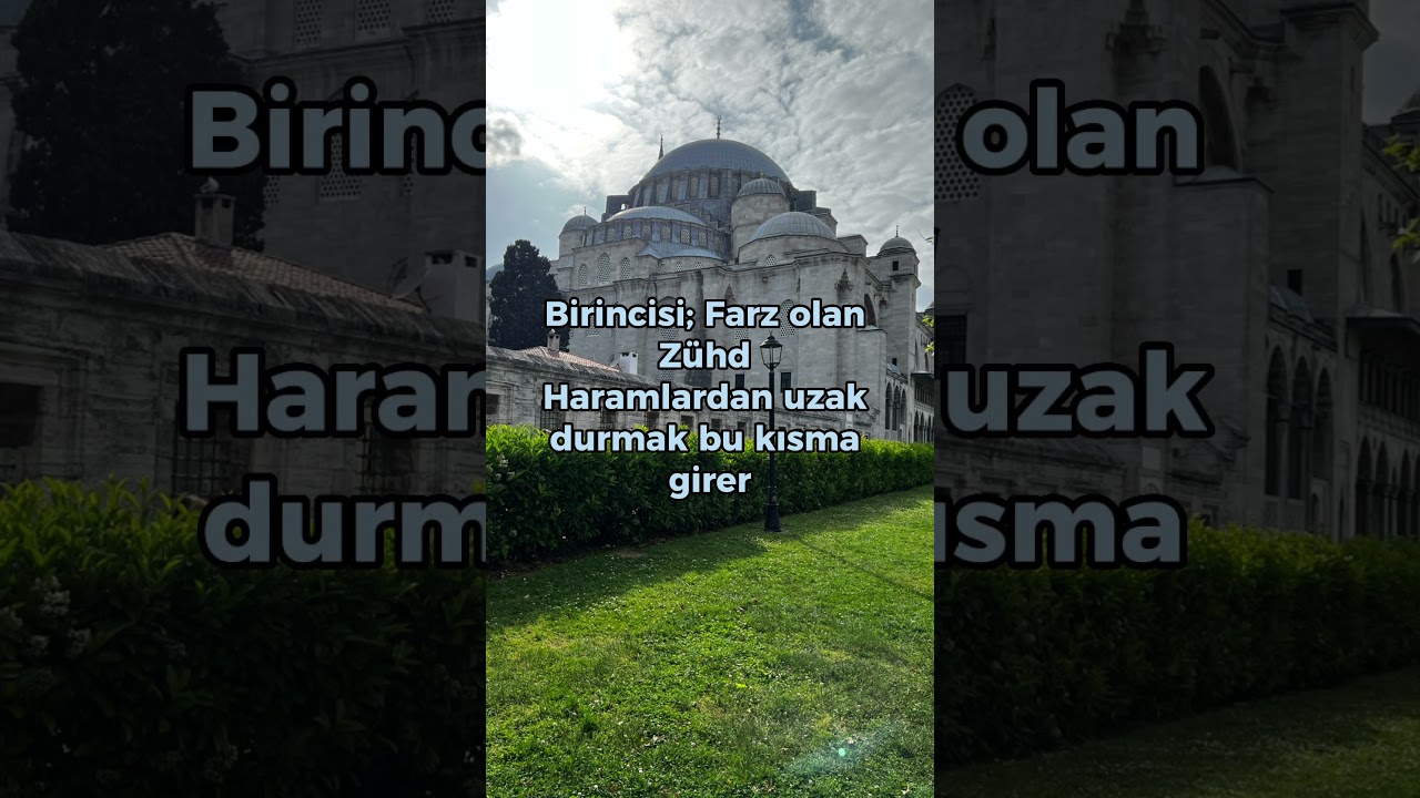 Z&uuml;hd Nedir?