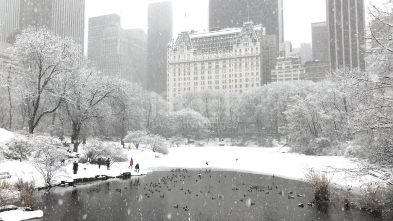 Snowing in Central Park New York City part 1
