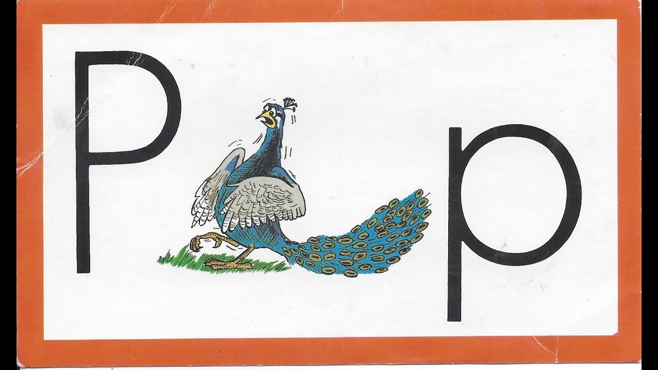 1005 03 Peacock - Learn to Read with Ace and Christi (A. C. E. Accelerated Christian Education)