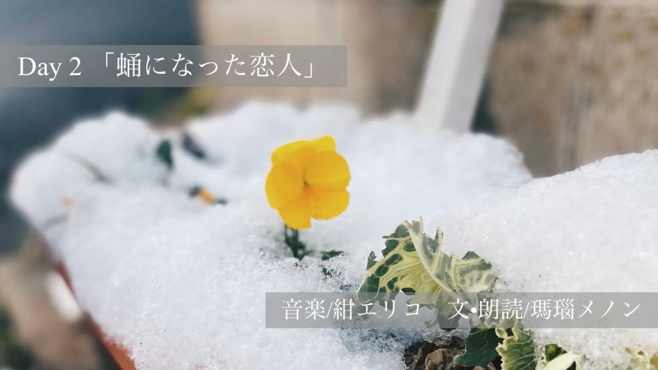 Day2「蛹になった恋人」(文・朗読/瑪瑙メノン 音楽/紺エリコ)
