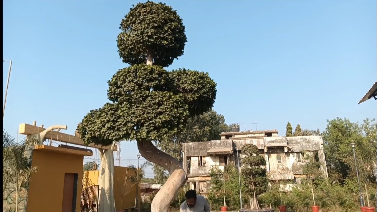 નગરવન ડુમસ સુરત| Nagarvan Dumas Surat | Surat Best Visit Place 2025
