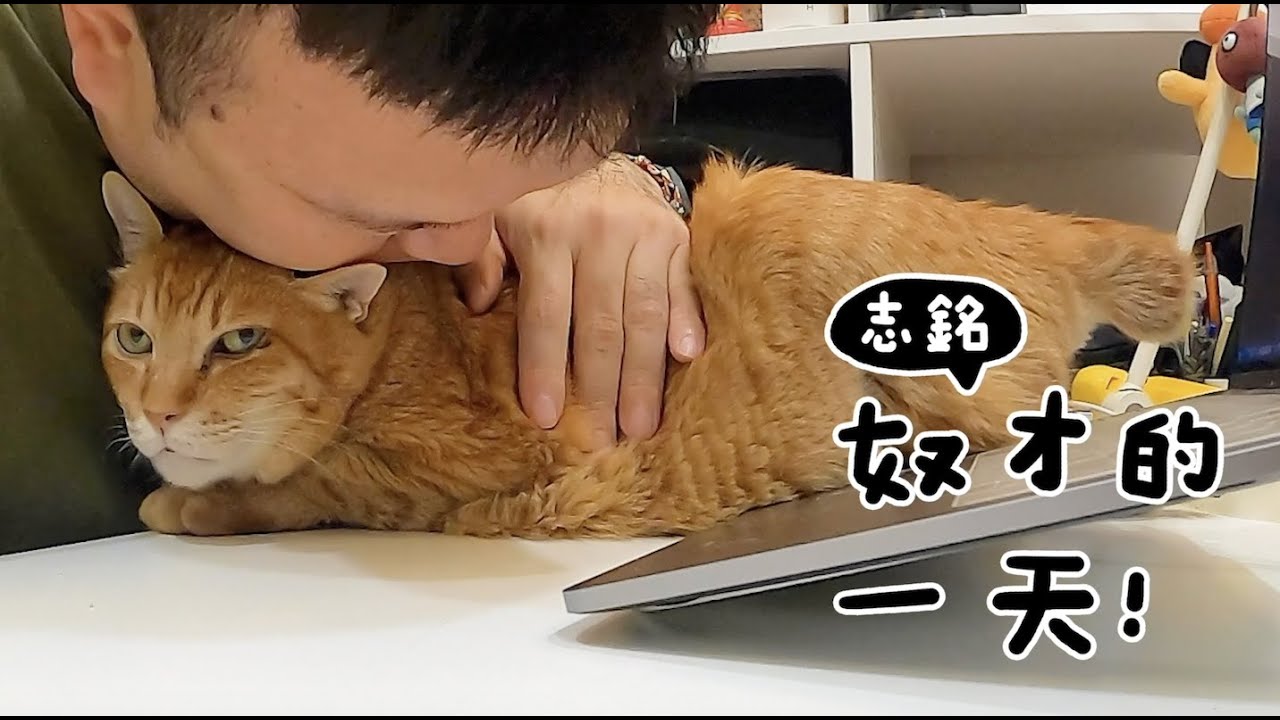 【黃阿瑪的後宮生活】志銘奴才的一天！