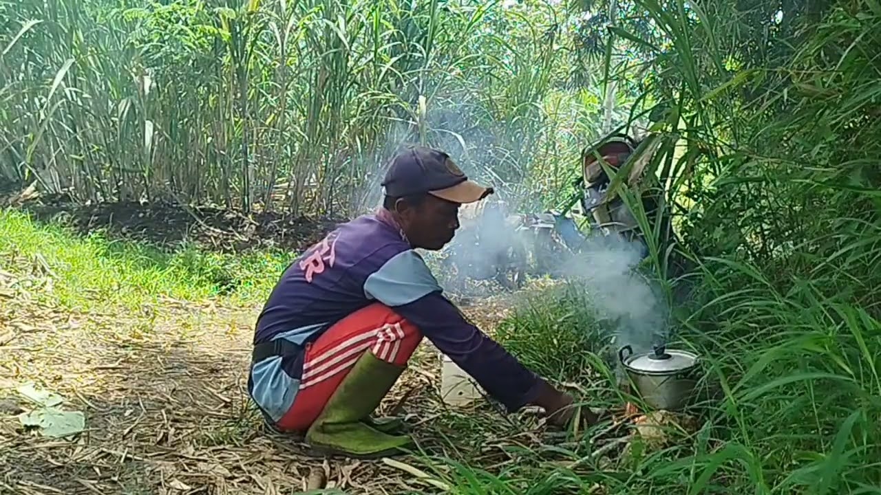 Berteduh di bawah pohon bambu sambil membuat kopi 