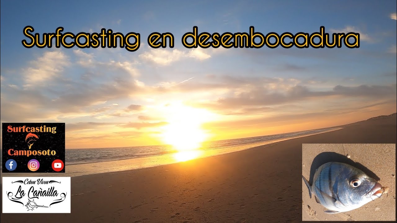SURFCASTING!! Desembocadura Punta boquerón.