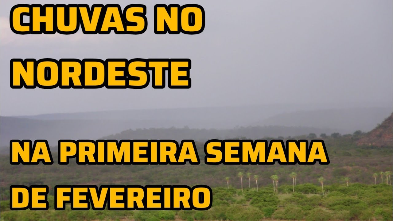 COMO VAI FICAR AS CHUVAS NA REGIÃO NORDESTE,,... NA PRIMEIRA SEMANA DE FEVEREIRO..#clima#tempo#chuva