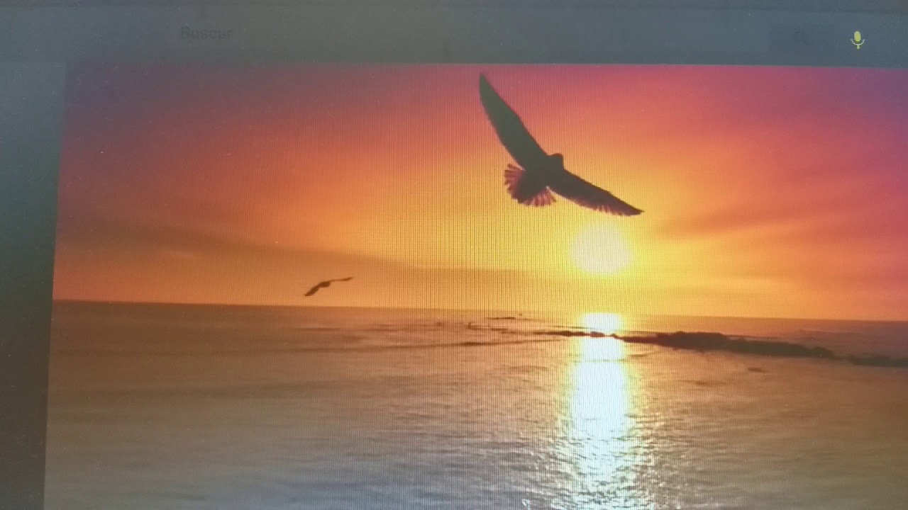 Ver a Dios en su creacion y agradecerle