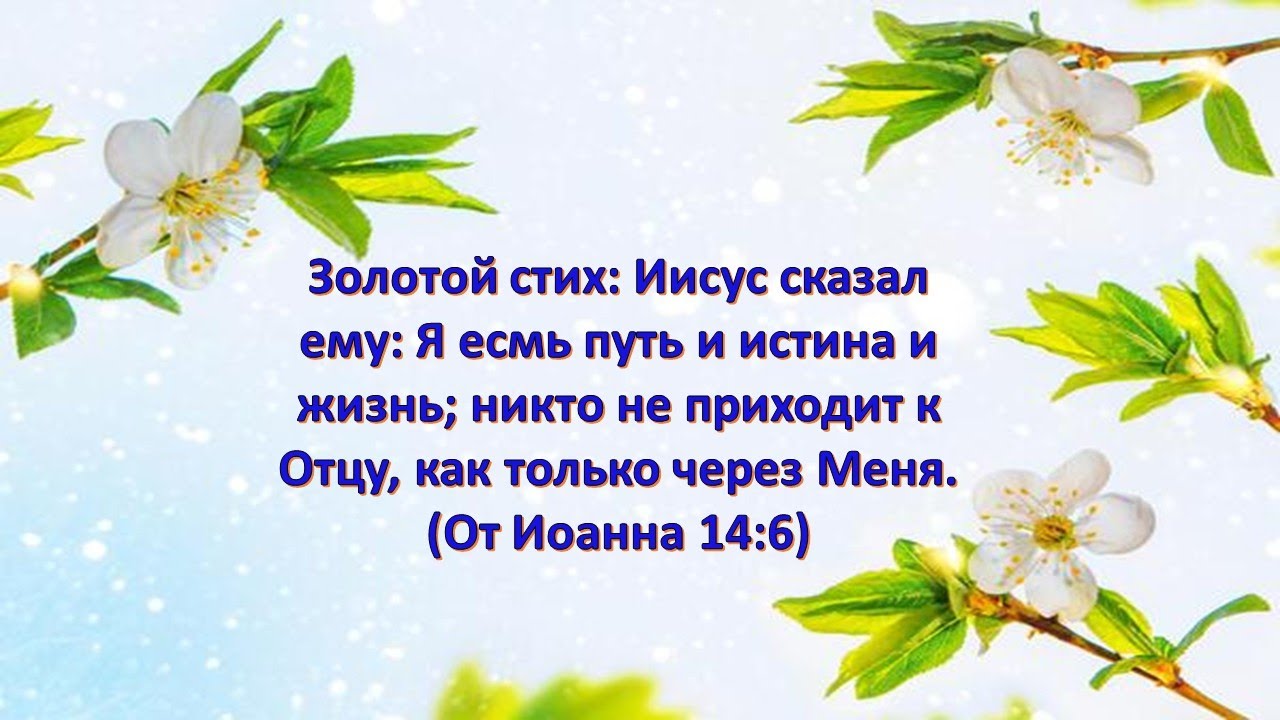 Служение милосердия 17.05.2025