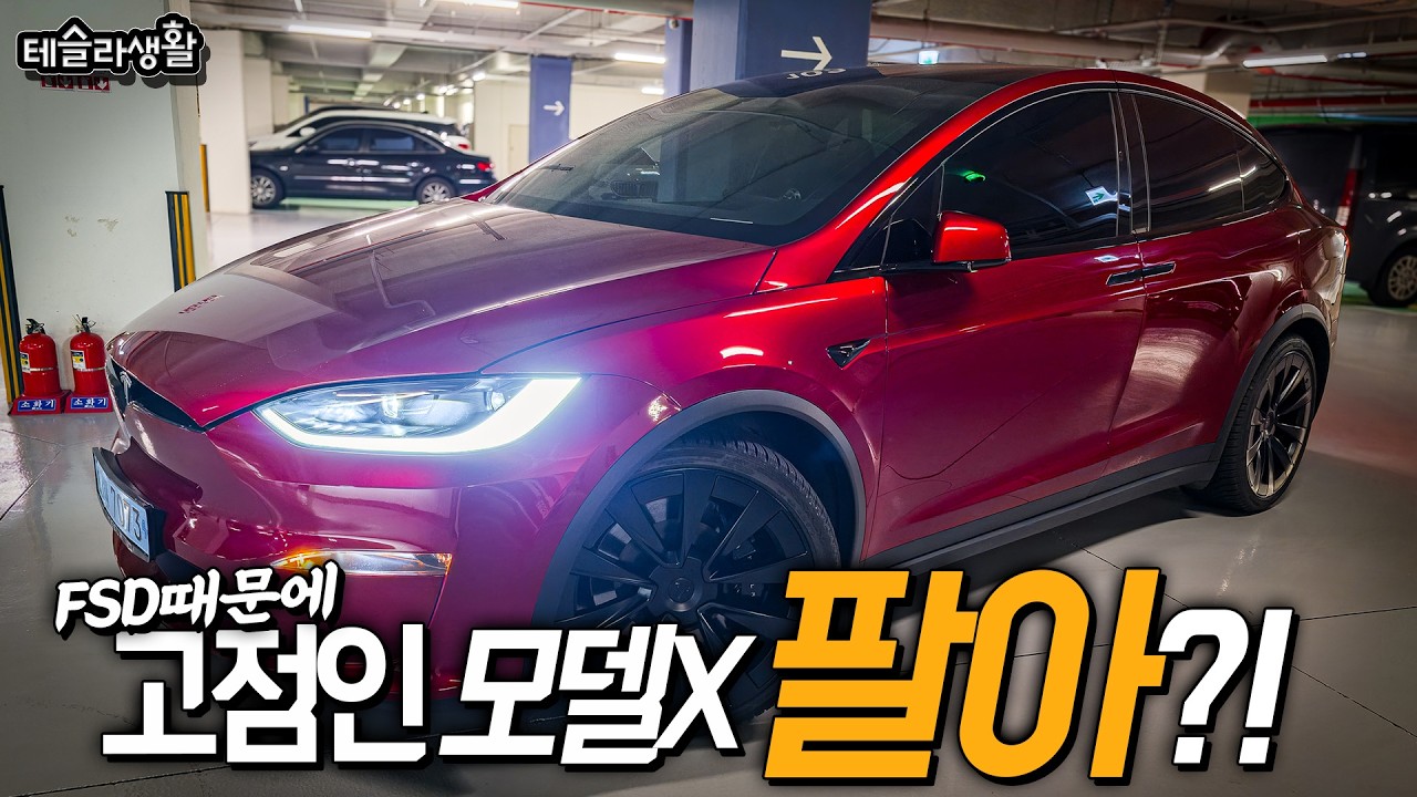 FSD때문에 지금 고점인 모델X 팔까? 말까? feat.노플라
