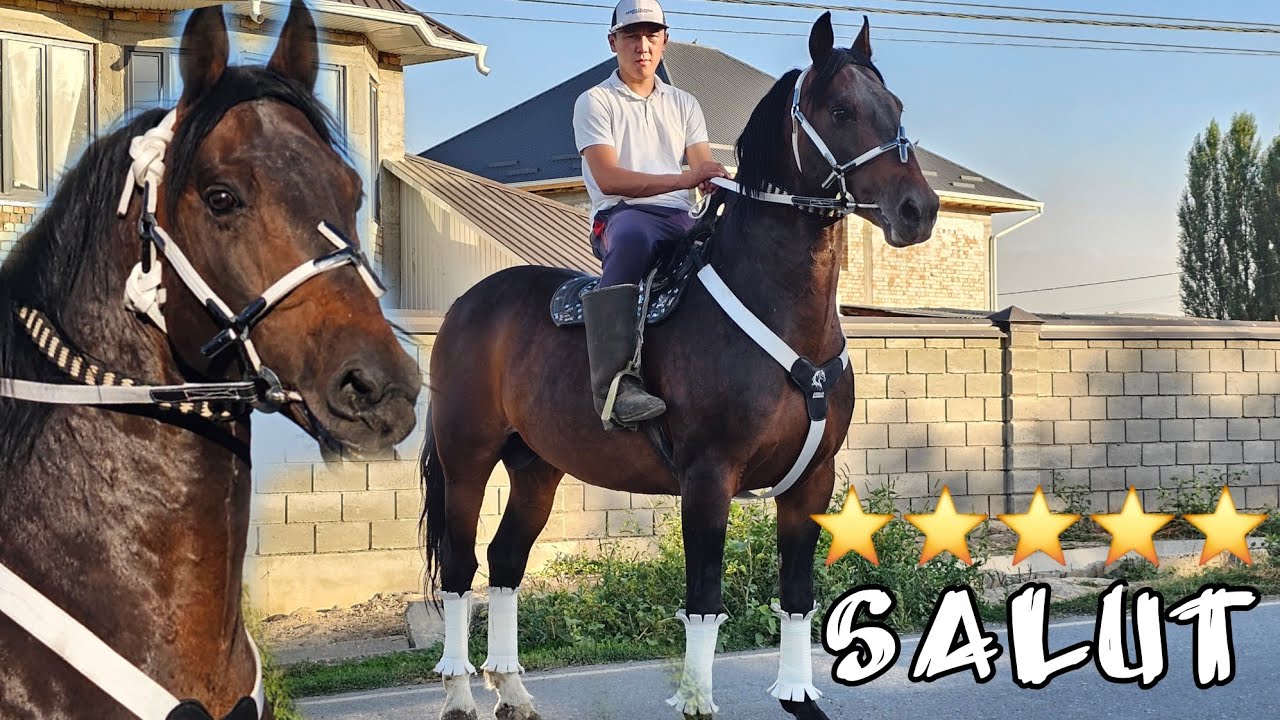 АТ ЭКЕН ГО ЖАНЫБАР 🔥Камбардын подаркасы бар😱ПАЙ ПАЙ ПАААЙ 