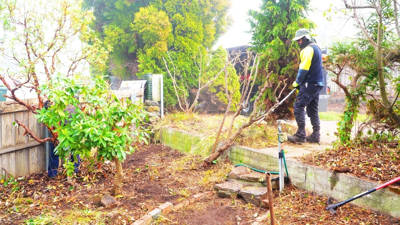 The Most SATISFYING Yard Cleanup You Have Seen This YEAR! (Part 7)