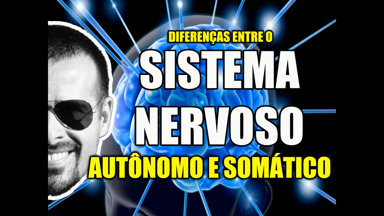 Diferenças entre o Sistema Nervoso Autônomo (visceral) e o Sistema Nervoso Somático - Vídeo Aula 097