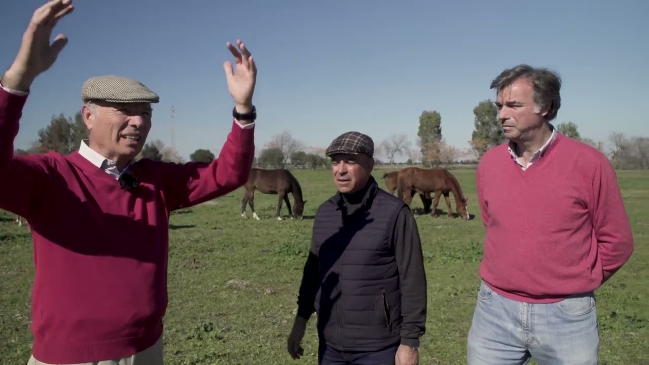TODOCABALLO Capítulo 37 (VERANO): Nacional de Salto de Baeza