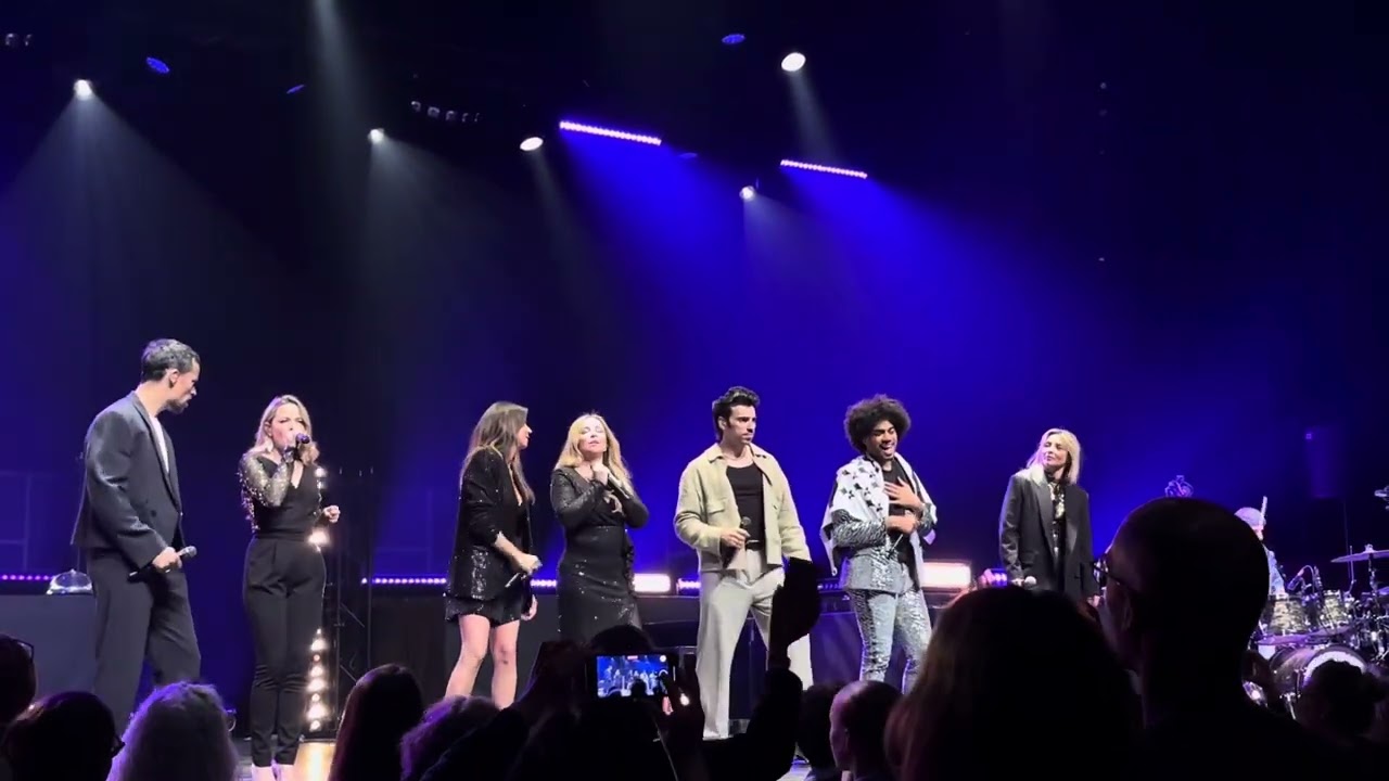 Les comédies musicales le concert - l'envie d'aimer live