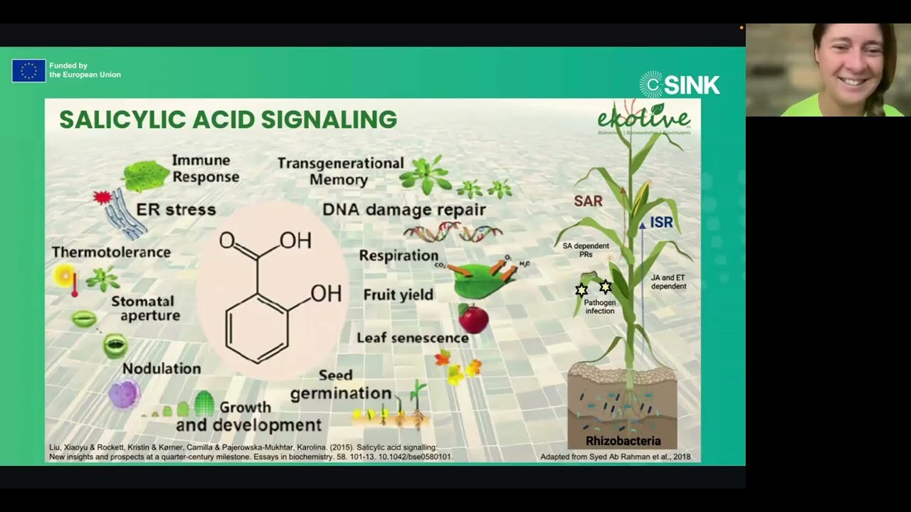 Microbial CO₂ Fixation (MCO₂): Turning Soils into Powerful Carbon Sinks (C-SINK Seminar)