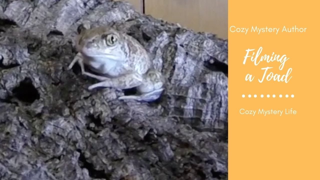 Filming an Eastern Spadefoot Toad | Conservation Film Making Course | Cozy Mystery Life