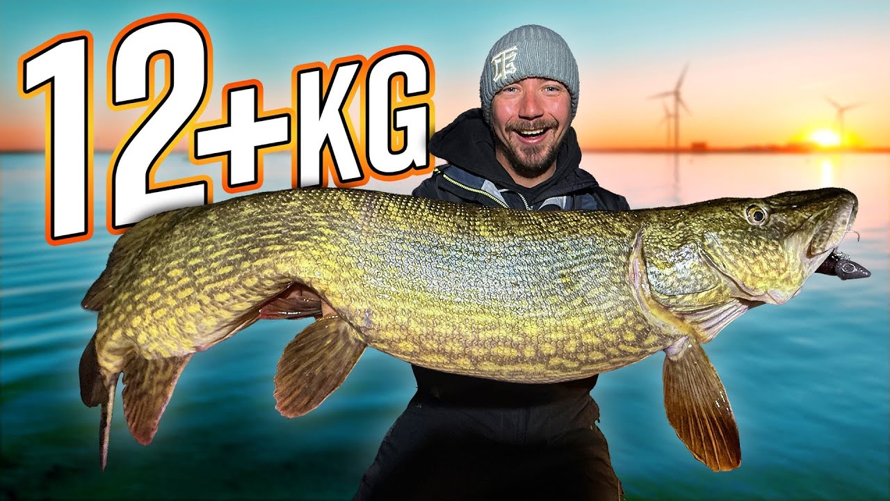 PÊCHE DE RÊVE : Notre MEILLEURE pêche au brochet en bateau → Brochets de plus de 12 kg ⚠️