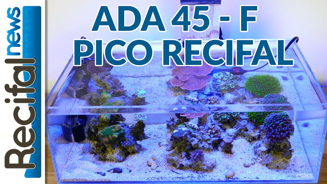 [VLOG#12] Axel : ADA récifal, des nouvelles du bac