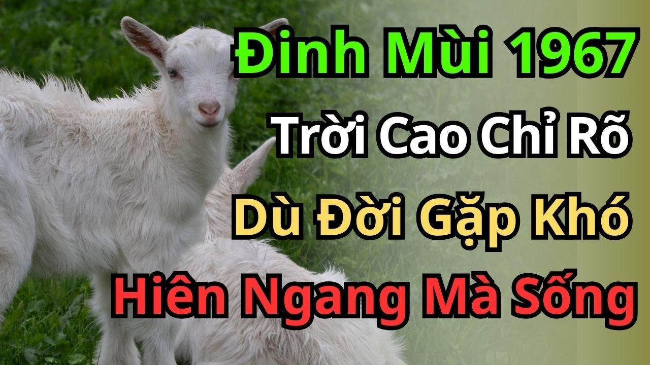 Gửi Đinh Mùi 1967: Đừng Khóc Cho Những Đắng Cay Đã Qua, Tuổi 60 Là Lúc Bạn Ngẩng Đầu Nhận Đại Phúc