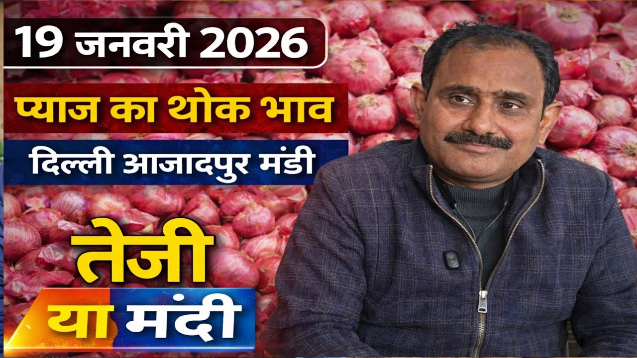 प्याज में तेजी या मंदी | Today onion price | pyaj ka bhav #onionprice #pyaj #onion #mandirates