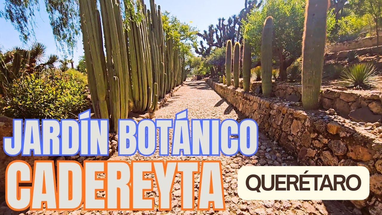 ¡Vive la experiencia del Botánico! Jardín Botánico Regional de Cadereyta Querétaro
