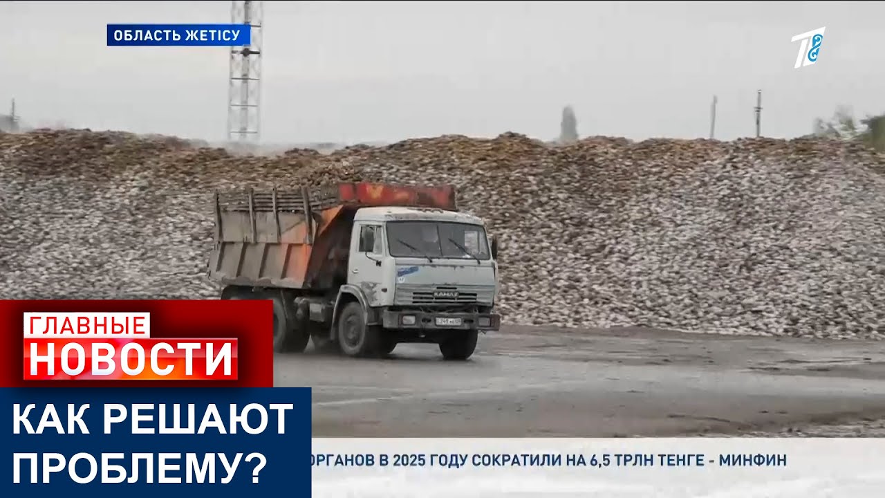 В разгар уборки урожая сахарный завод приостановил приём сахарной свёклы