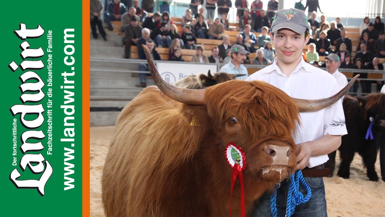 5. Kärntner Fleischrindermesse