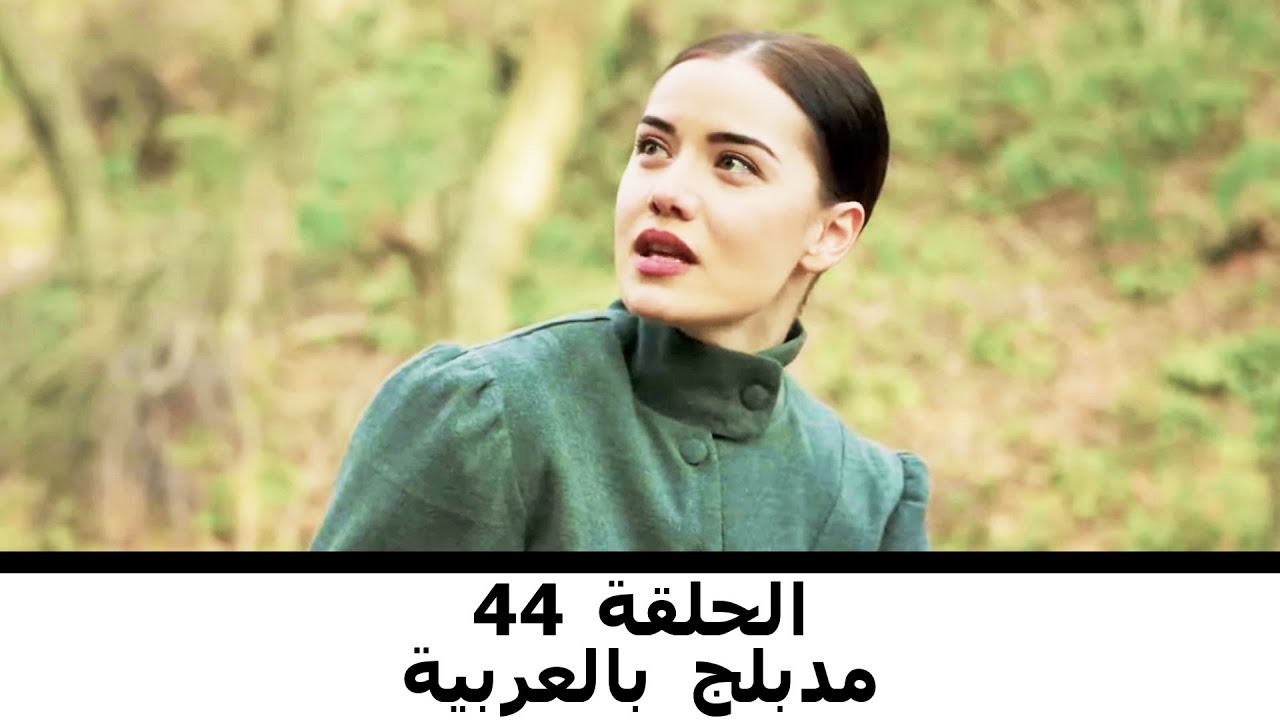مدبلج بالعربية الحلقة 44 | طائر النمنمة