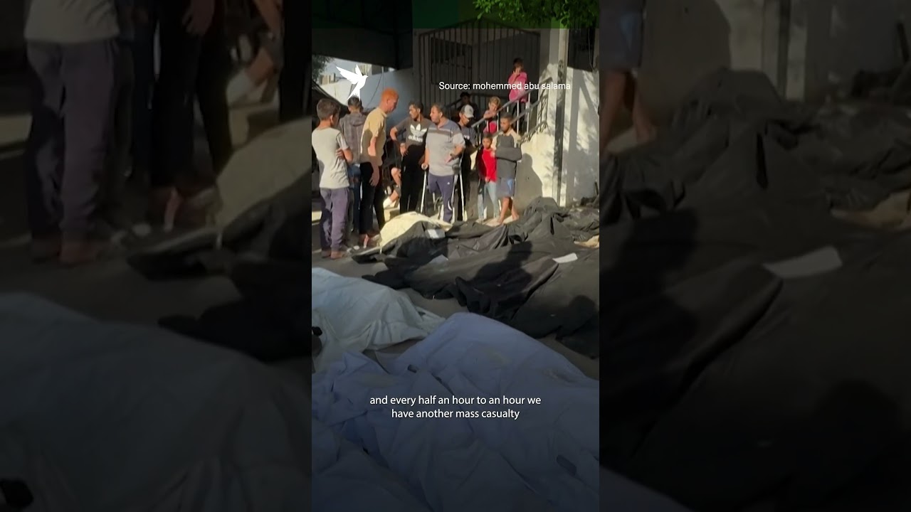 Australian doctor describes Gaza&rsquo;s Al-Shifa hospital as &ldquo;a slaughterhouse&rdquo;