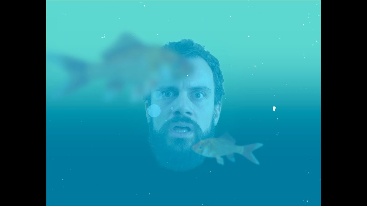 NUOTA! - Federico Fregonese