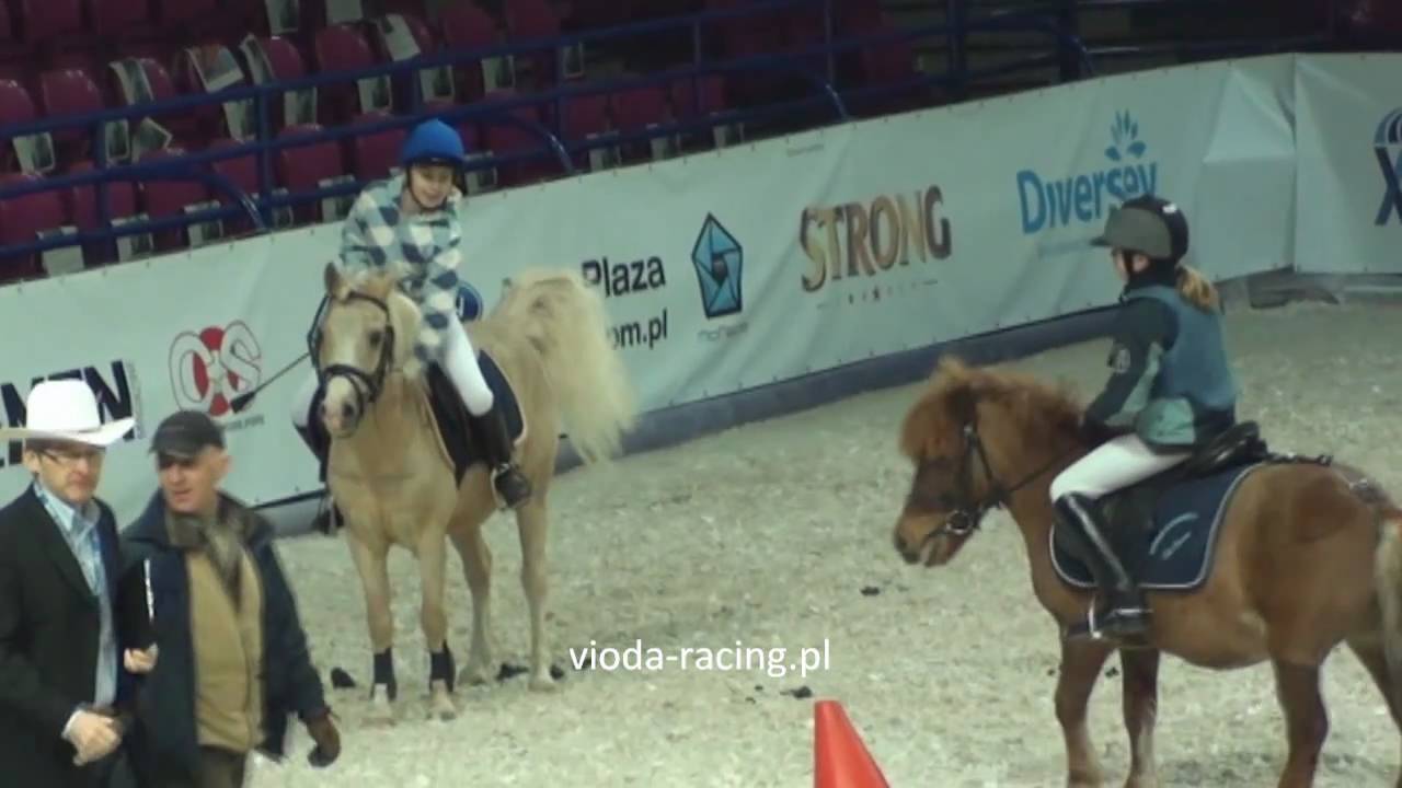 Wyścigi kucyków - Warsaw Horse Days - 25.03.2011