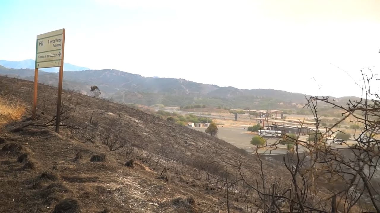 El incendio forestal de Sierra Bermeja afecta ya a unas 3.600 hectáreas