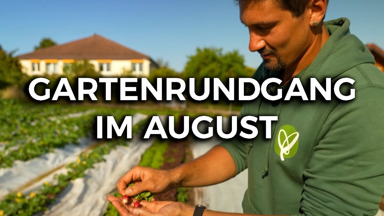 Gartenrundgang im August 🌱
