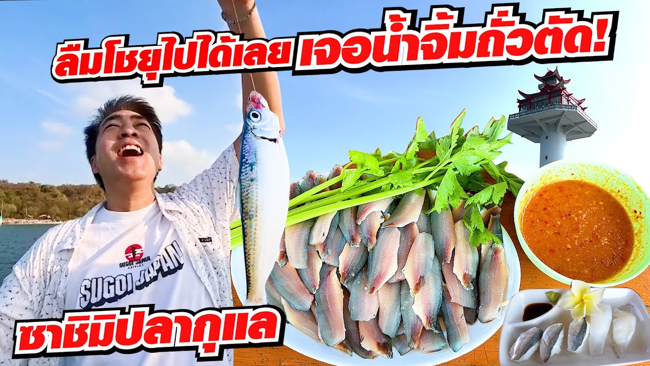 คนญี่ปุ่นถึงกับติดใจ! ได้กินปลากุแลซาชิมิน้ำจิ้มถั่วตัดครั้งแรก!