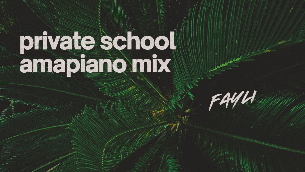 Private School Amapiano Mix 2025 | Soulful & Chill Beats | Kelvin Momo, Kabza de Small, Stixx, Daano