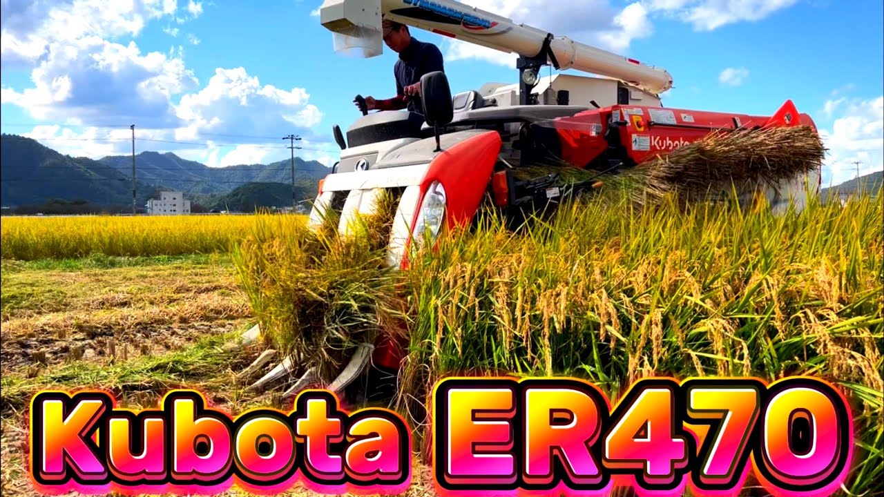 Kubota ER470 クボタの4条70馬力コンバインで刈り取りSTAR🏃