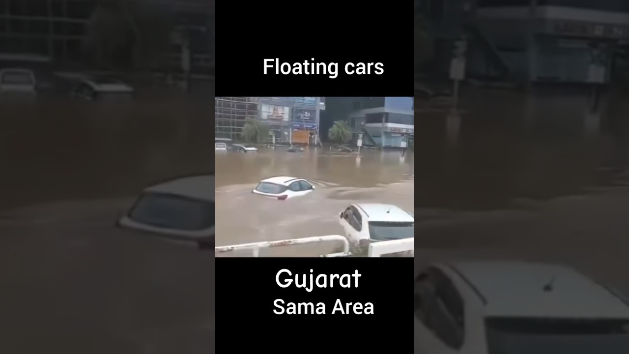 Gujarat flood 2024 #viralvideo #gujaratflood #monsoon2024 #viralshorts