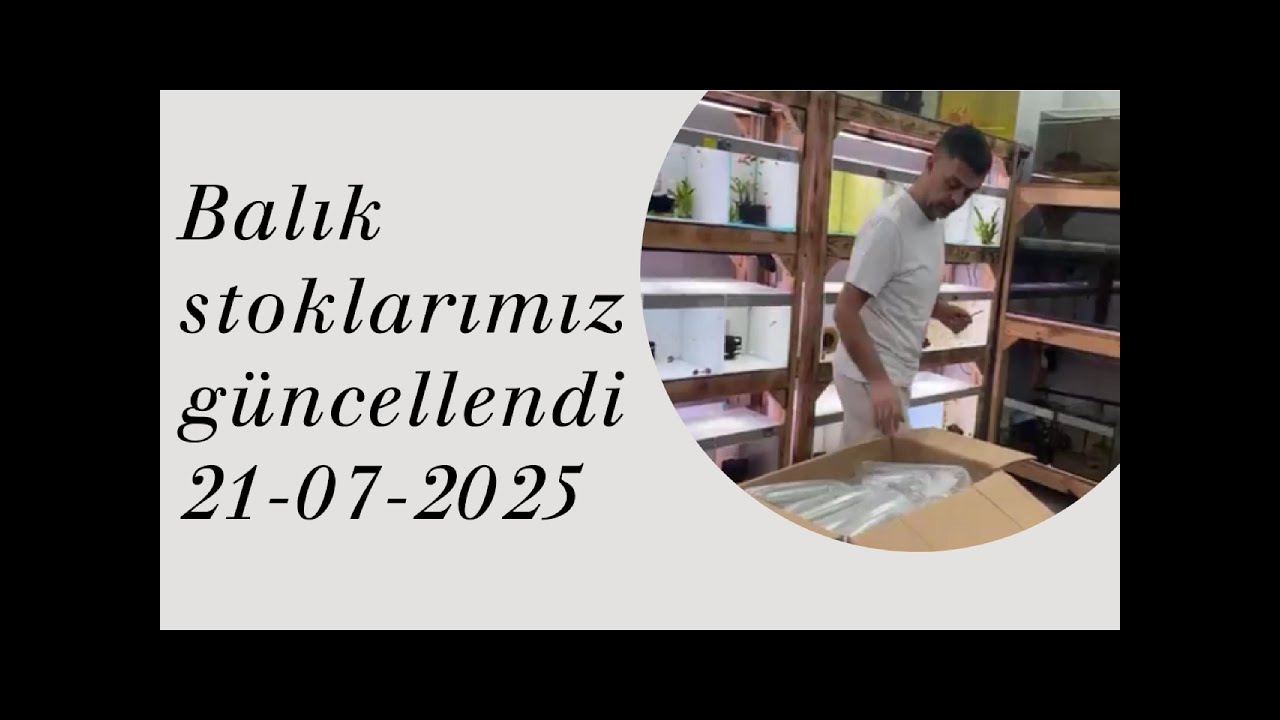 Yeni Balıklar geldi Stoklarımız güncellendi - Aquashop Bursa