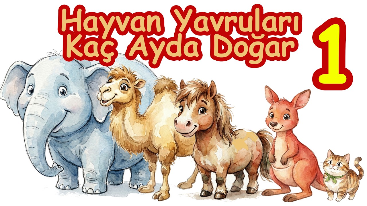 Hayvan Yavruları Kaç Ayda Doğar? - 1 #hayvanyavrusu #sevimlihayvanlar #çocukhikayeleri #çocukşarkısı