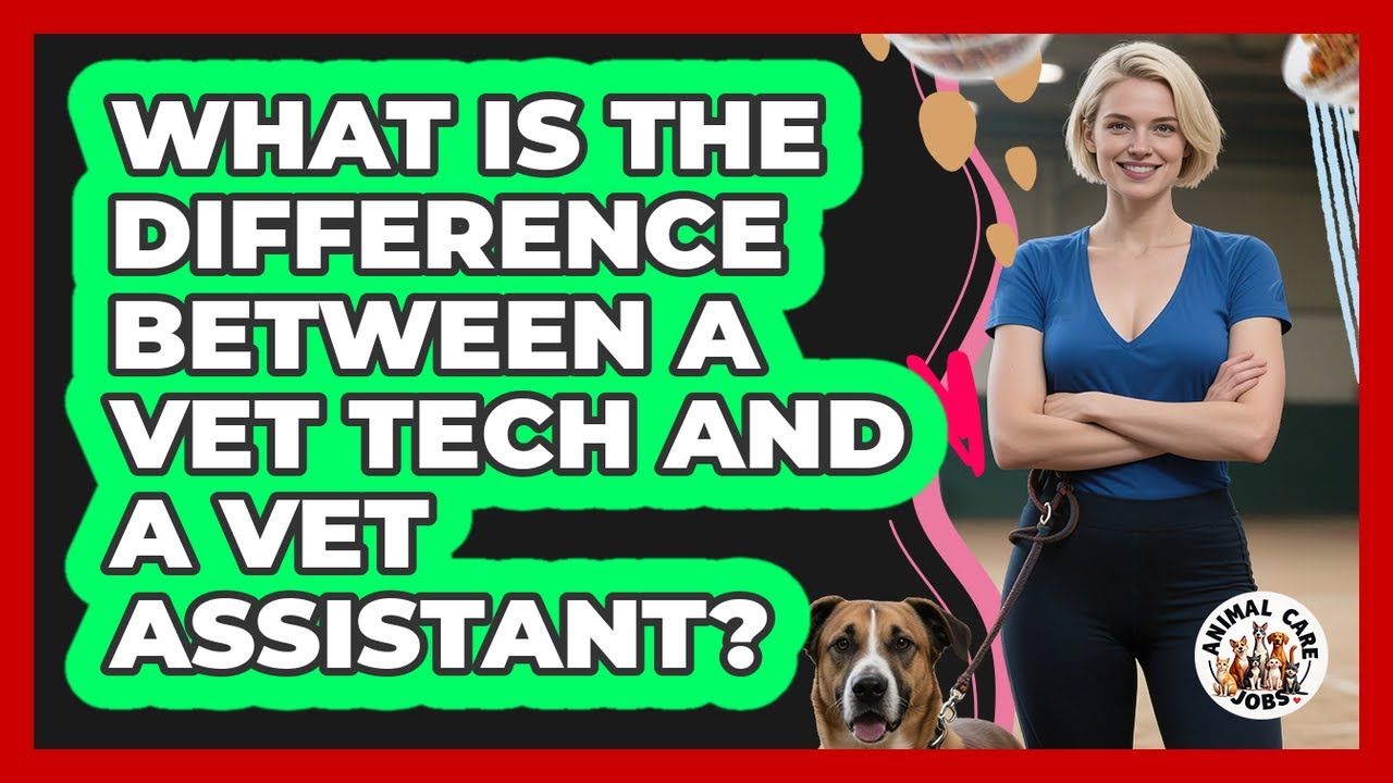 What Is The Difference Between A Vet Tech And A Vet Assistant?