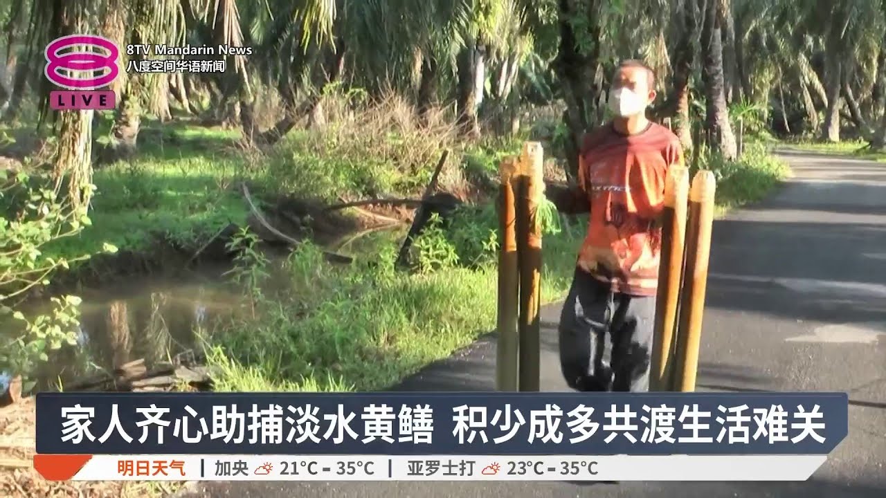 身残志坚捕鳝自食其力 双手撑起全家生计重担【2026.02.07 八度空间华语新闻】