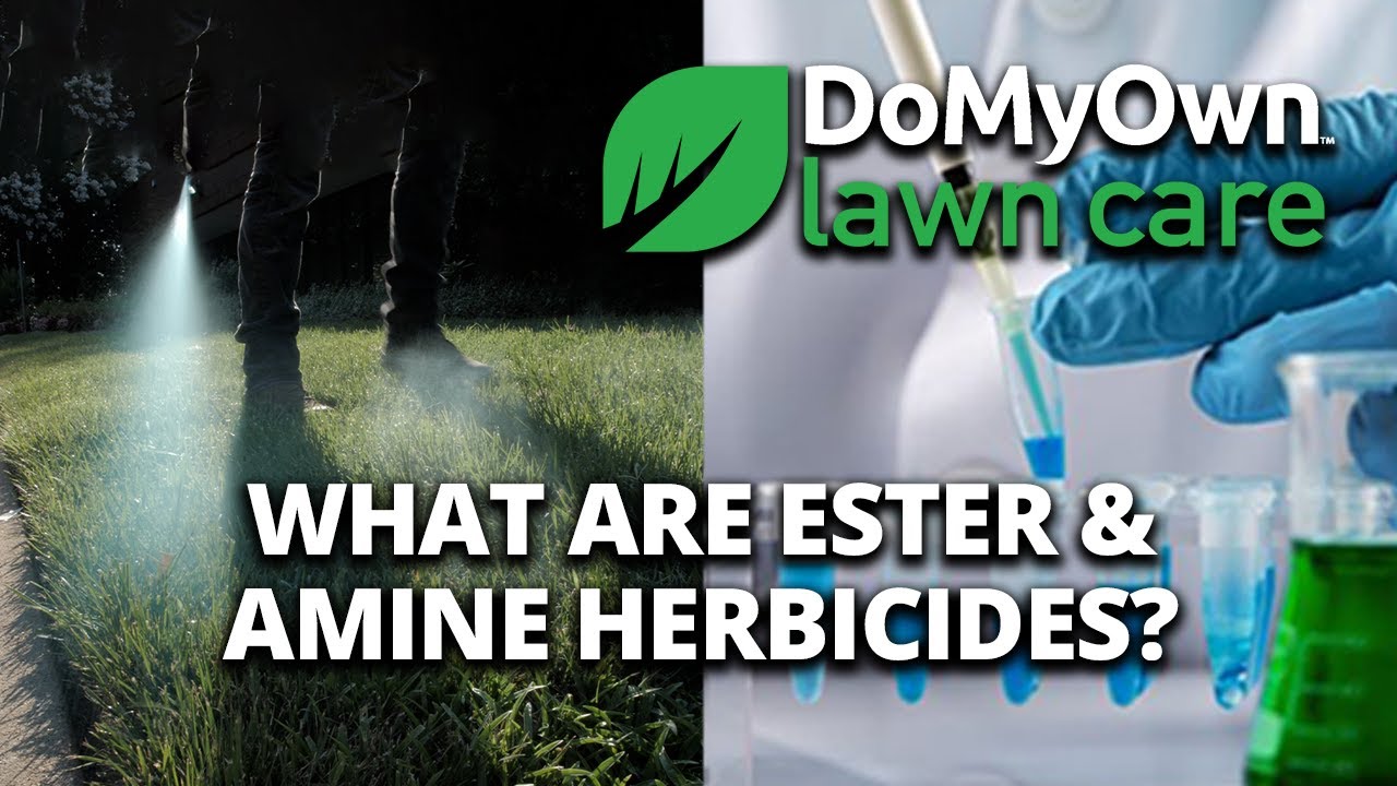 What are Ester and Amine Herbicides? | DoMyOwn.com