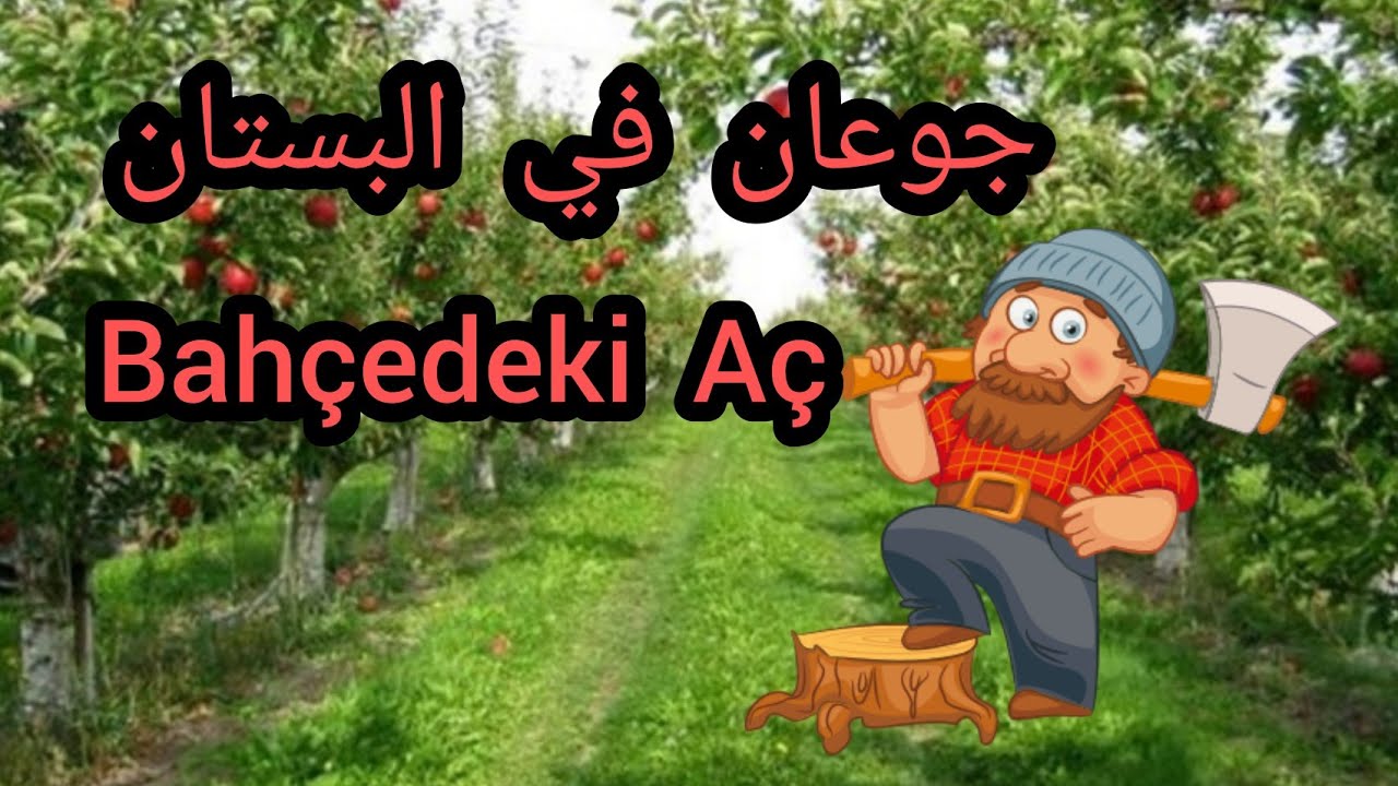 Arapça öğrenme teknikleri -Hikayeler | كورس تعلم اللغة التركية