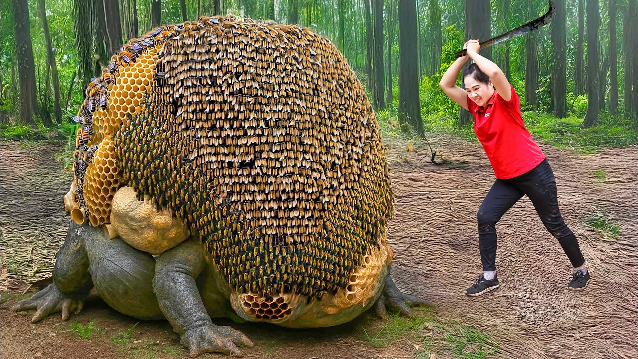 Harvesting Forest Honeycomb Yam & Go to Market Sell | Billion bees chose the yam tuber a their home