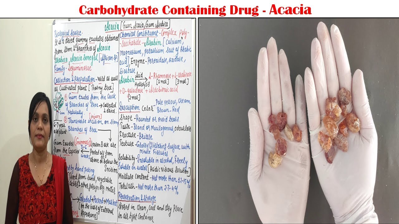 Class (98) = Carbohydrate Containing Drug (Part 04 ) | Acacia (Source, Preparation, Chemistry & Use)